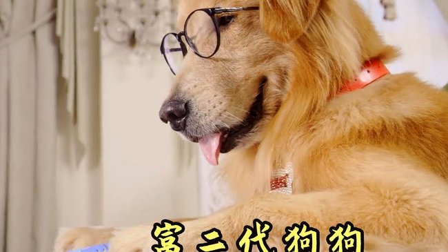 阿根廷VS佛得角：看台上的神秘“静听者”