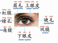 齐达二苏超触球集锦：控球依旧，岁月痕迹