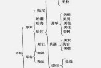 刘凯源：天才的困境与中国足球