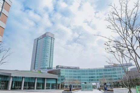 专家：相较于维尼修斯，巴尔科拉更契合阿森纳的建队思路