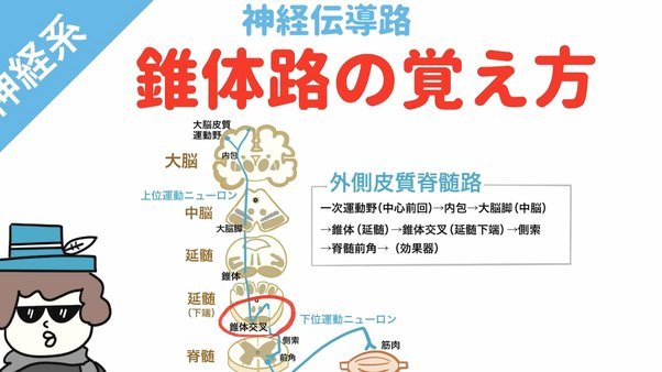 董路：小波就开个玩笑，一堆人就猜老二要去职业队，哪有那么容易，能不能有点脑子？